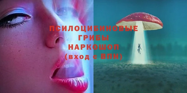 бошки Алексин