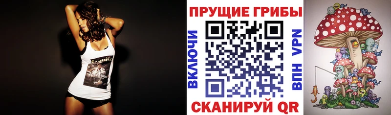 Псилоцибиновые грибы Psilocybe  как найти   Усолье-Сибирское 